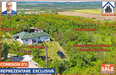 Casa renovata 141mp + Teren 10.000mp | Podenii Vechi - PH 