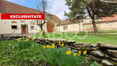 Casa saseasca de vanzare in Calnic ideala pentru locuinta sau pensiune