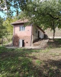 Casa Seini Maramures, 2 camere, teren 3.600 mp, 42.000 euro