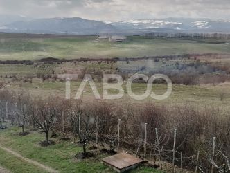 Casa singur in curte cu teren liber 2667 mp 6 camere 4 bai Daia 