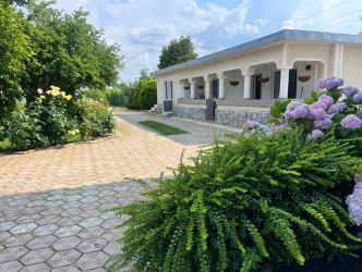 Casa visurilor cu 4000 mp livada roditoare si gradina Darmanesti-Arges