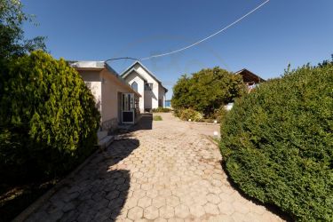 Casa visurilor cu livada roditoare si gradina amenajata Darmanesti-Arg