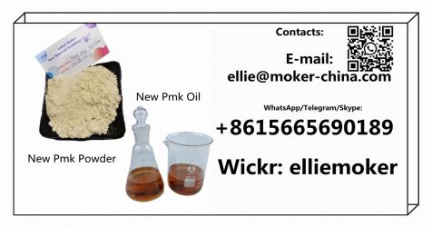 China Supply Pure Pmk Powder Pmk Oil Cas 28578-16-7 with High Yield Ra