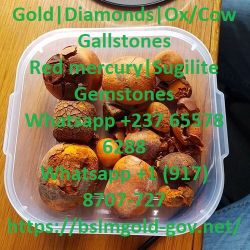 Cómo comprar Ox / Cow Gallstone, Gallstone en venta