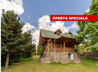 Colț de Rai -Casă de vacanță cu Pădure-Livadă și Râu -Jud.Arge