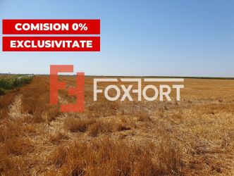 COMISION 0% Teren extravilan 4,47 ha, 800m front stradal, Peciu Nou - 