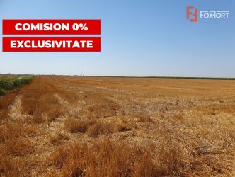 COMISION 0% Teren extravilan 4,47 ha, 800m front stradal, Peciu Nou -