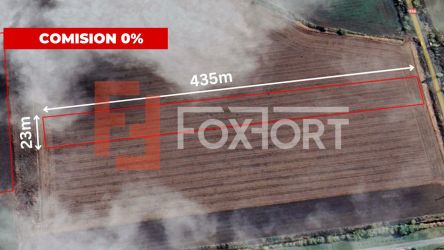 COMISION 0% Teren extravilan agricol 1 ha, Beregsau Mare - Pozitionare