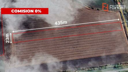 COMISION 0% Teren extravilan agricol 1 ha, Beregsau Mare - Pozitionare