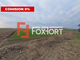 COMISION 0% Teren extravilan agricol 10.000 mp la sosea in Sag