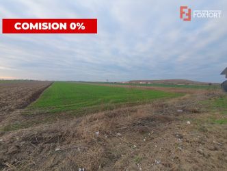 COMISION 0% Teren extravilan agricol 10.000 mp la sosea in Sag