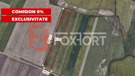 COMISION 0% Teren extravilan agricol, Sacalaz - 20.000 mp