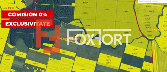 COMISION 0% Teren extravilan Mosnita in zona de Padurea Bistra - 66.66