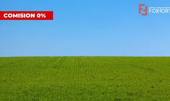 COMISION 0% Teren extravilan pentru inchiriere in Sacalaz 