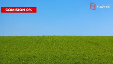 COMISION 0% Teren extravilan pentru inchiriere in Sacalaz 