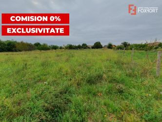 COMISION 0% Teren intravilan 2978 mp la sosea | Sanmihaiu German - ID 