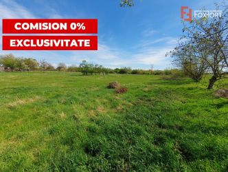 Comision 0% Teren intravilan 3000 mp in Padureni Jebel