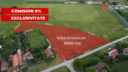 COMISION 0% Teren intravilan 6400 mp la drum asfaltat - Padureni