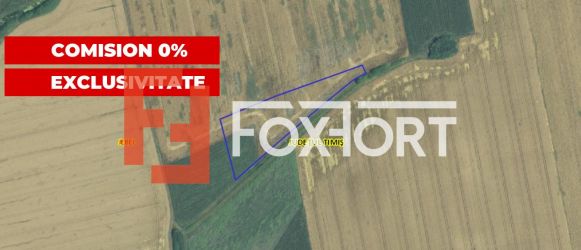 COMISION 0% Vanzare teren extravilan 10.3 hectare, zona agricola, Jebe