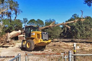 Defrișare și Curățare Terenuri