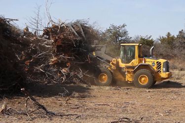 Defrisari/curatari terenuri-cu utilaje specializate