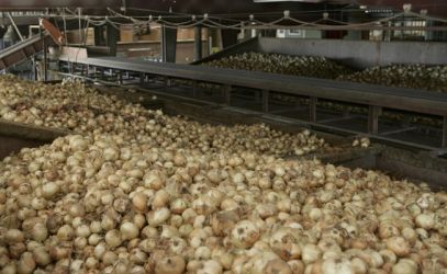 Depozit de ceapa si usturoi austria