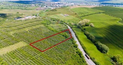 Deschidere la DN2 - E85: Teren extravilan 7200 mp in zona Livada, 