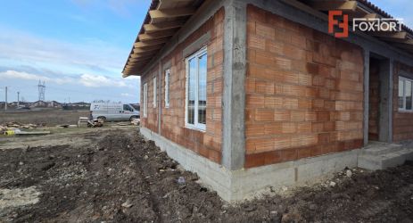 Duplex plan parter - langa Lidl Mosnita Noua