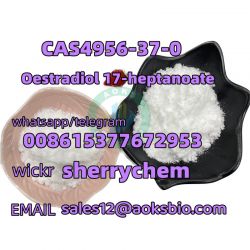 Estradiol Enanthate CAS 4956-37-0 Large Particle or Powder 
