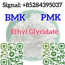 Ethyl Glycidate PMK Powder CAS 28578-16-7  3,4-MDP-2P ethyl ester