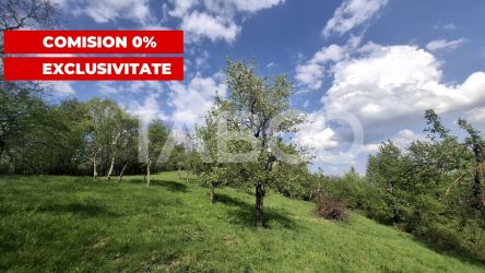 Exclusivitate- Teren de vanzare intravilan 3036 mp Sibiel Sibiu