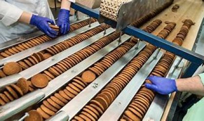 Fabrica de biscuiti germania