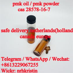 Factory direct supply hot selling pmk ethyl glycidate powder / pmk oil