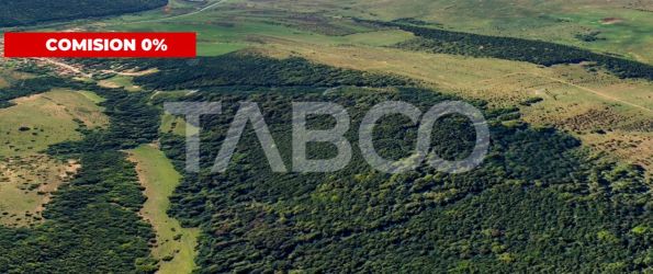 FARA COMISION Padure de vanzare 12.7 hectare situata in judetul Sibiu