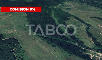 FARA COMISION - Padure de vanzare 12700mp situata in judetul Sibiu