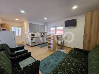 Garsoniera de inchiriat open space 19 mp zona Piata Cluj Sibiu