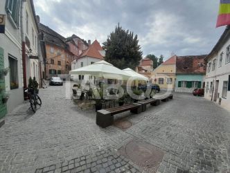 Garsoniera de vanzare Ultracentrala 30 mp pretabila regim hotelier