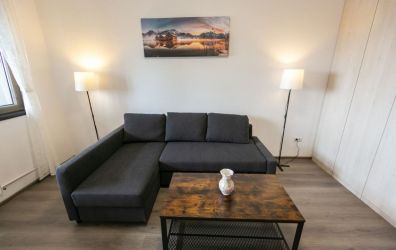 Garsoniera | Trinity - ANL Brancusi | Centrala proprie