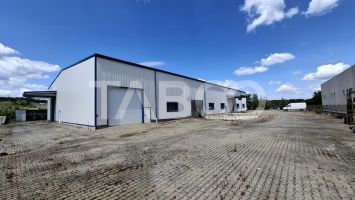 Hala 1638 mp cladire birouri 600 mp teren 10740 mp Selimbar Sibiu