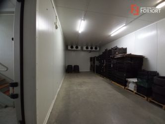 Hala industriala 1.411 mp, teren 2.068 mp - Acces TIR, Freidorf
