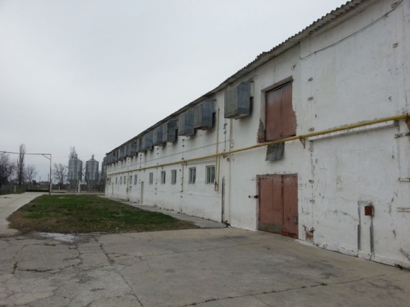Hala Industriala, 25000mp, Albesti,PH, 15000 euro-2