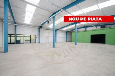 Hala industriala / spatiu comercial – VANZARE – DN 65B – Bradu-P