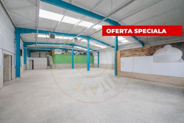 Hala industriala / spatiu comercial – VANZARE – DN 65B – Bradu-P