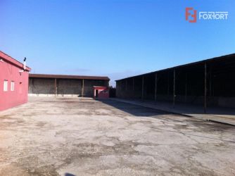 Hala Mosnita Noua de inchiriat- ID C249