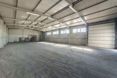 Hale & Birouri Mărăcineni - 1.294 mp - Deschidere la DN