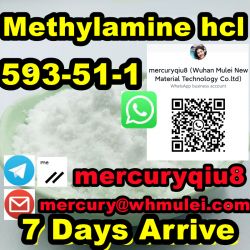 High Purity 99.9%  Methylamine hydrochloride Methylamine hcl 593-51-1