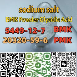 High Purity cas 20320-59-6 dlethy(phenylacetyl)malonate bmk oil