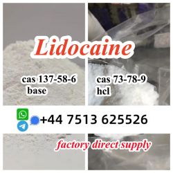 High quality cas 137-58-6 Lidocaine base cas 73-78-9 Lidocaine hcl glo