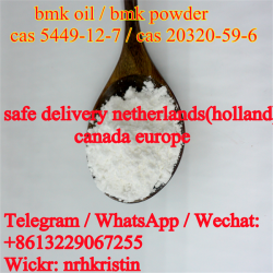 Holland Safe delivery CAS5449-12-7 new bmk oil,bmk powder 5449-12-7
