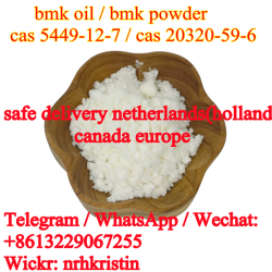 Holland UK Canada Safe Delivery BMK Powder 5449-12-7 BMK Glycidate